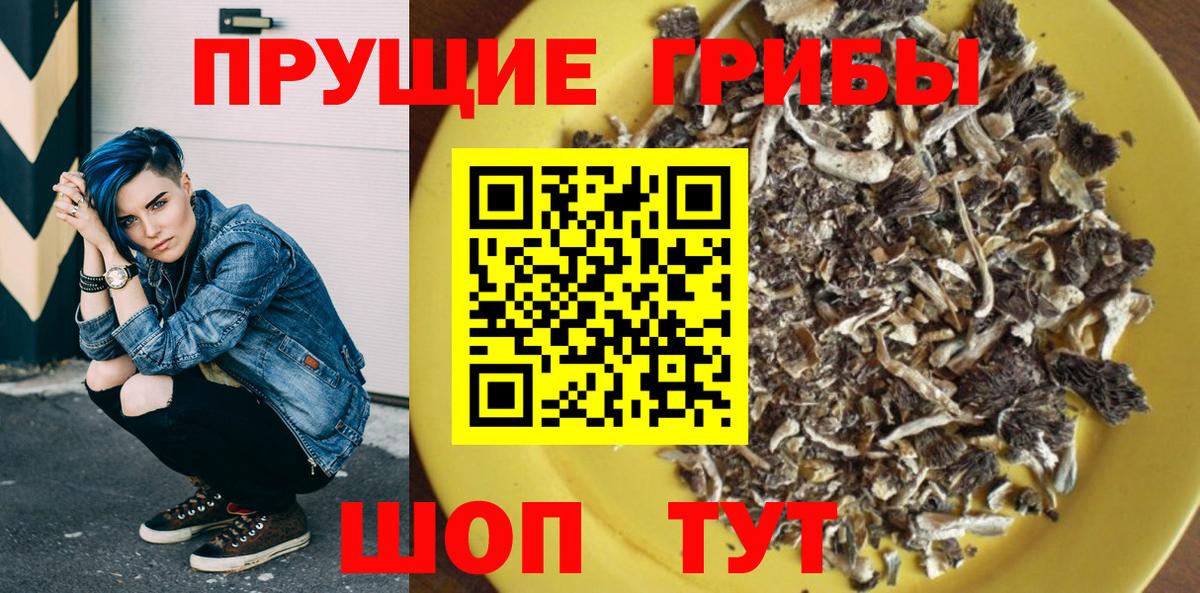 Галлюциногенные грибы мицелий Троицк