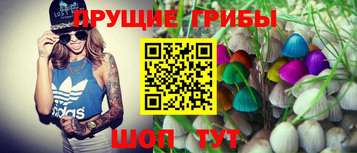Галлюциногенные грибы прущие грибы  хочу наркоту  Вход с VPN  Троицк  Псилоцибиновые грибы Magic Shrooms 